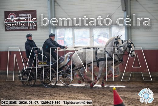 Mintakép 20260307-711