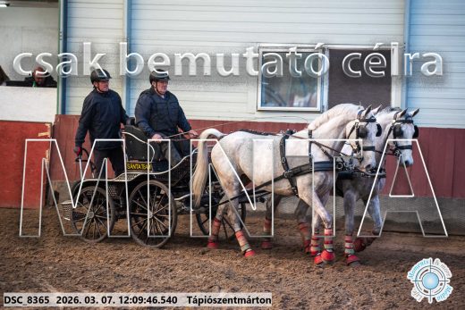 Mintakép 20260307-713