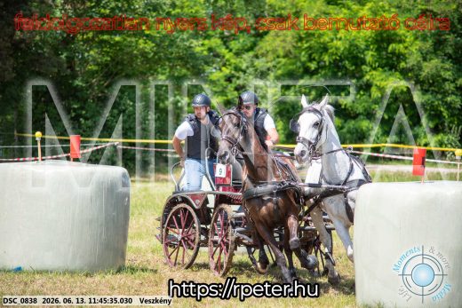 Mintakép 20260613-719