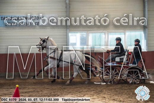 Mintakép 20260307-718