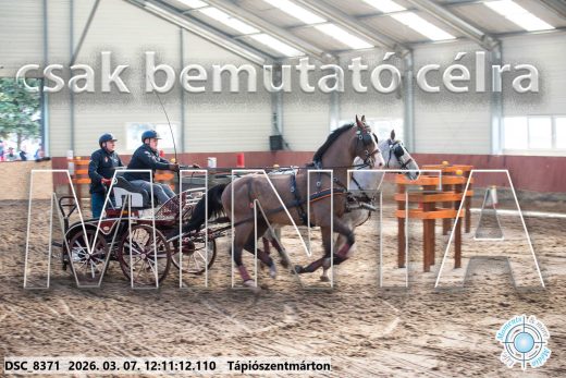 Mintakép 20260307-719