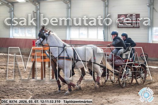 Mintakép 20260307-722