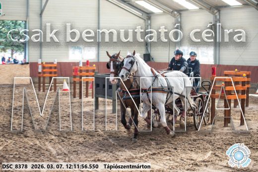 Mintakép 20260307-724