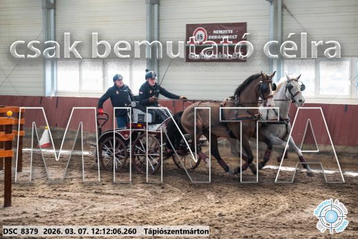 Mintakép 20260307-725