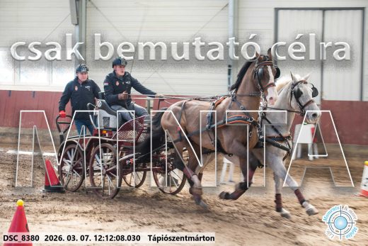 Mintakép 20260307-726