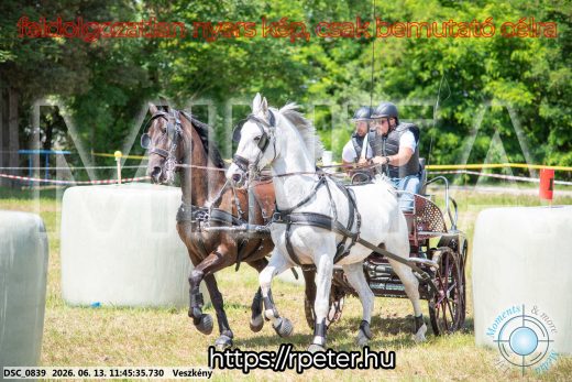 Mintakép 20260613-720