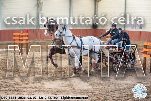 Mintakép 20260307-728