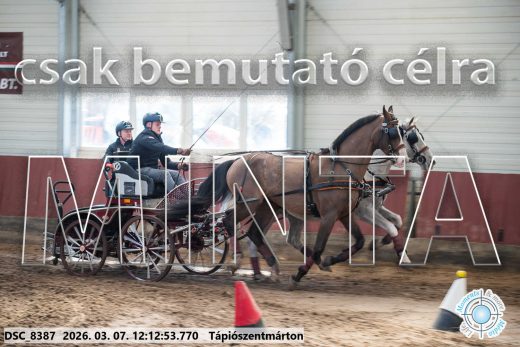 Mintakép 20260307-730