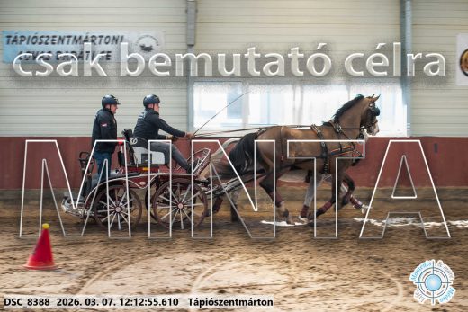 Mintakép 20260307-731