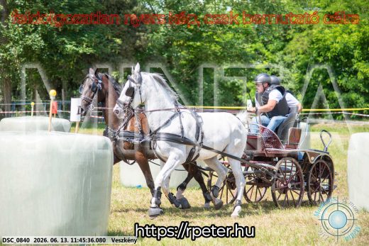 Mintakép 20260613-721
