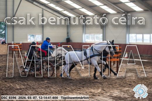 Mintakép 20260307-739