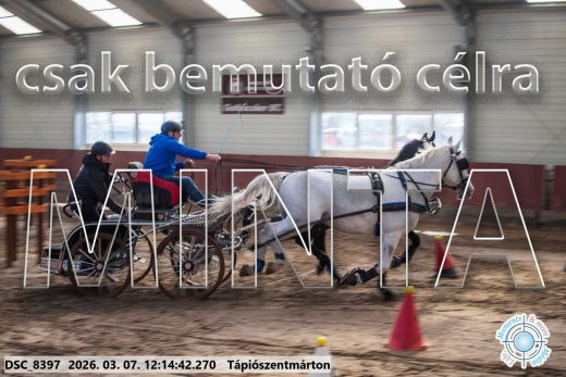 Mintakép 20260307-740