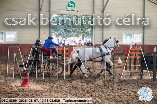 Mintakép 20260307-742