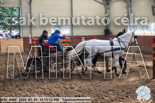 Mintakép 20260307-743