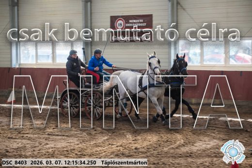 Mintakép 20260307-746