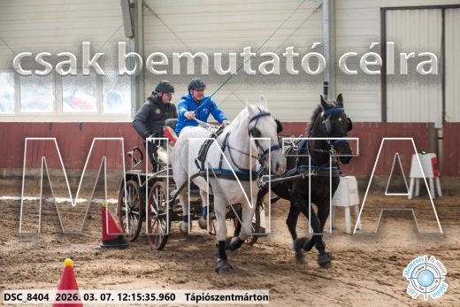Mintakép 20260307-747