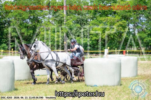 Mintakép 20260613-722