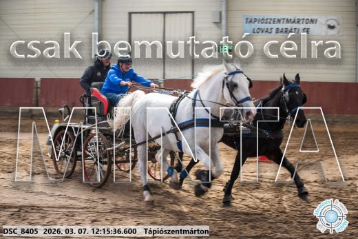 Mintakép 20260307-748