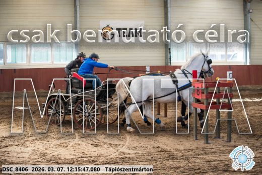 Mintakép 20260307-749