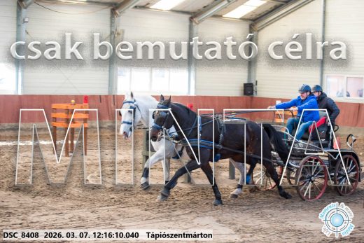 Mintakép 20260307-751
