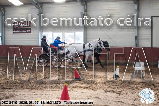 Mintakép 20260307-753