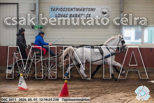 Mintakép 20260307-754