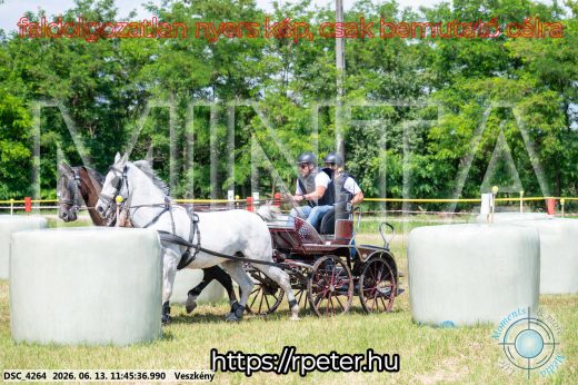 Mintakép 20260613-723