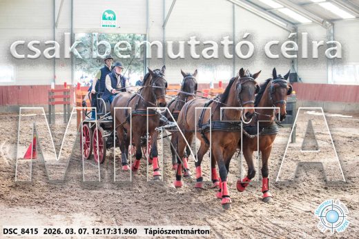 20260307-121731-DSC_8415.jpg