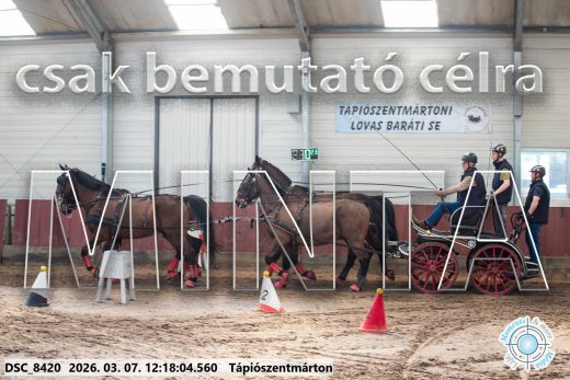 Mintakép 20260307-763