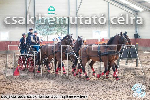 Mintakép 20260307-765