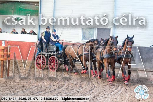 Mintakép 20260307-767