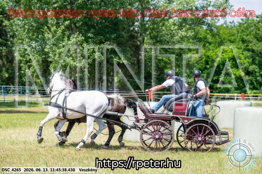 Mintakép 20260613-724