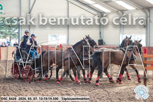Mintakép 20260307-769