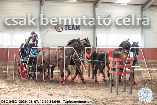 Mintakép 20260307-775