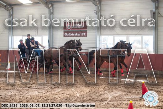 Mintakép 20260307-777