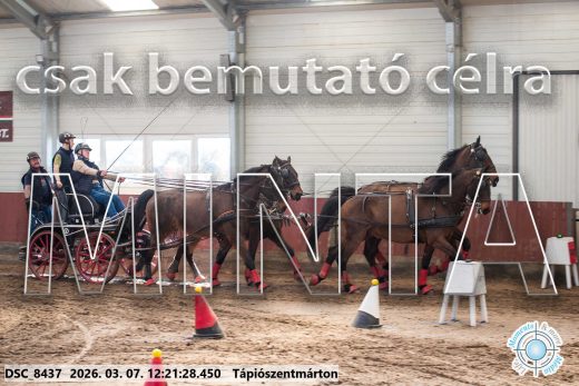 Mintakép 20260307-778