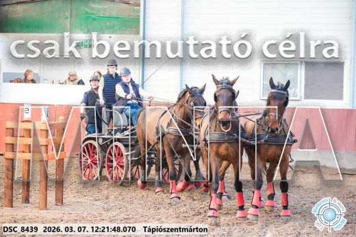 Mintakép 20260307-780