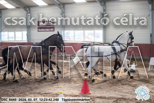 Mintakép 20260307-786