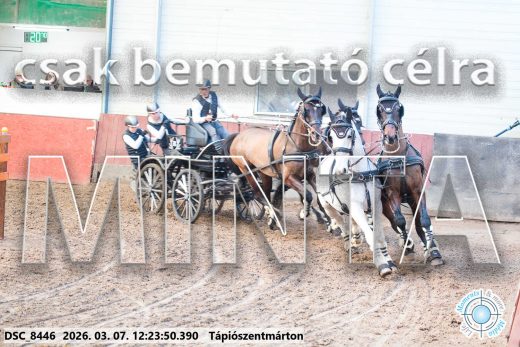 Mintakép 20260307-787