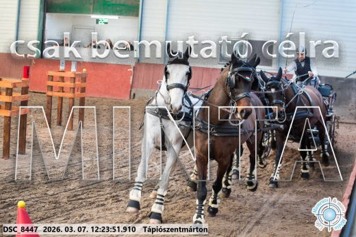 Mintakép 20260307-788