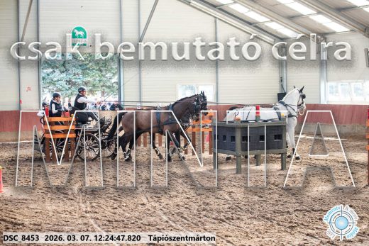 Mintakép 20260307-794