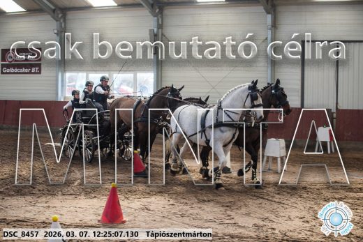 Mintakép 20260307-798