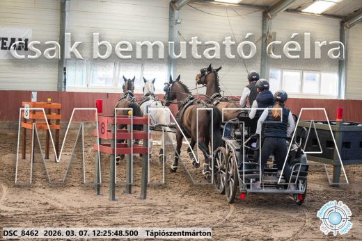 Mintakép 20260307-803