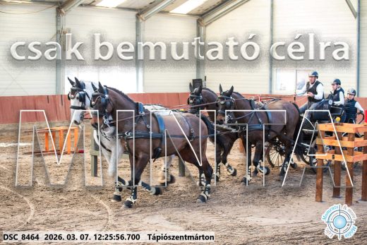 Mintakép 20260307-805