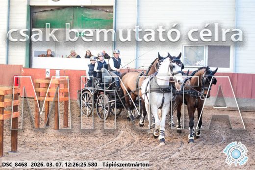 Mintakép 20260307-807