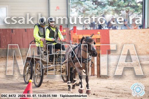 20260307-132035-DSC_8472.jpg
