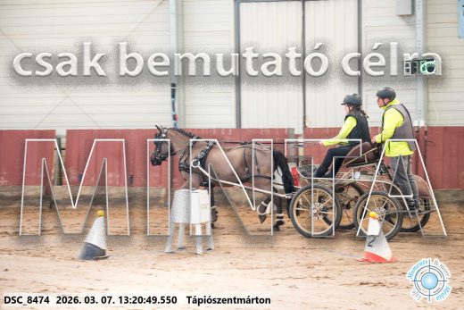 Mintakép 20260307-813