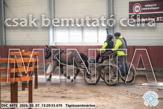 Mintakép 20260307-814