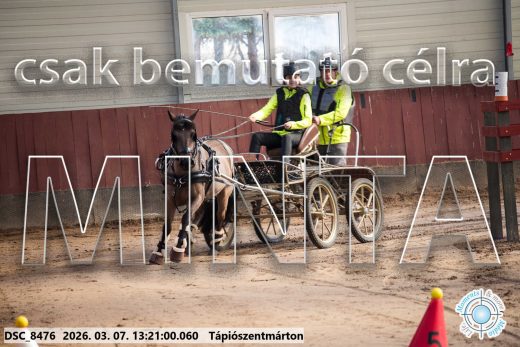 Mintakép 20260307-815