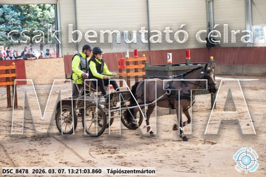 Mintakép 20260307-817